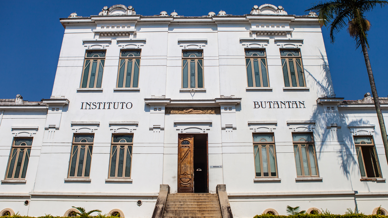 Atividades incluem visitas virtuais ao Instituto e lives sobre como é ser cientista - Divulgação / Instituto Butantan