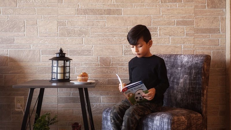 O interesse pelos livros tem papel essencial no processo de alfabetização