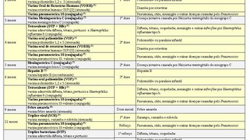 Imagem Calendário Básico de Vacinação da Criança