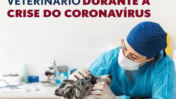 Imagem Animais de estimação e o coronavírus