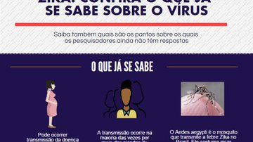 Imagem Zika: o que já se sabe e o que ainda falta saber sobre a doença