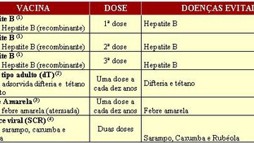 Imagem Calendário de Vacinação dos Adolescentes