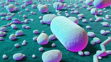 Imagem Uso indiscriminado de antibióticos e as superbactérias: 7 dicas para utilizar os medicamentos corretamente