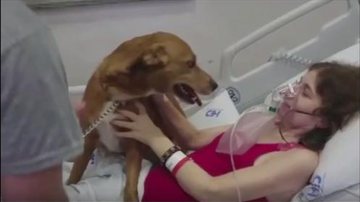 Imagem Mulher com câncer ganha visita de cão de estimação em hospital no RS