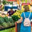 É preciso fazer escolhas saudáveis na hora das compras