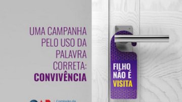 Imagem da campanha "Filho não é visita"