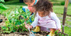 Crianças cuidando de horta