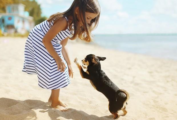 Criança brinca com cachorro (Foto: Thinkstock)