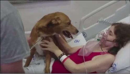 Rejane reencontrou o cão de estimação em hospital (Foto: Reprodução/RBS TV)