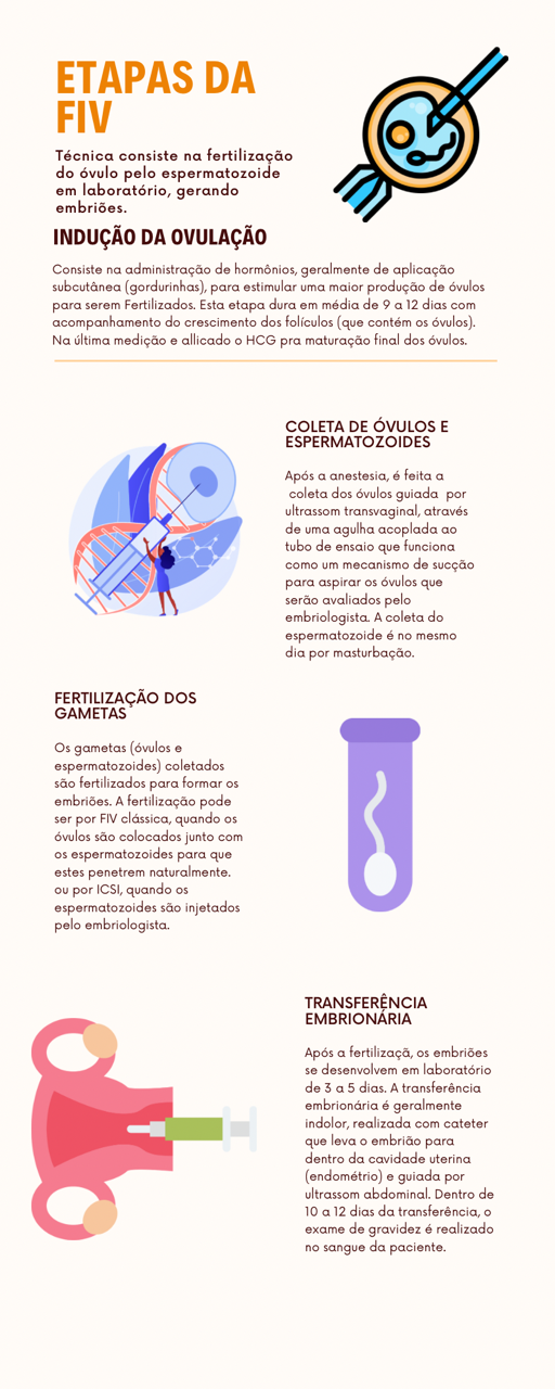 Infográfico explicando o processo