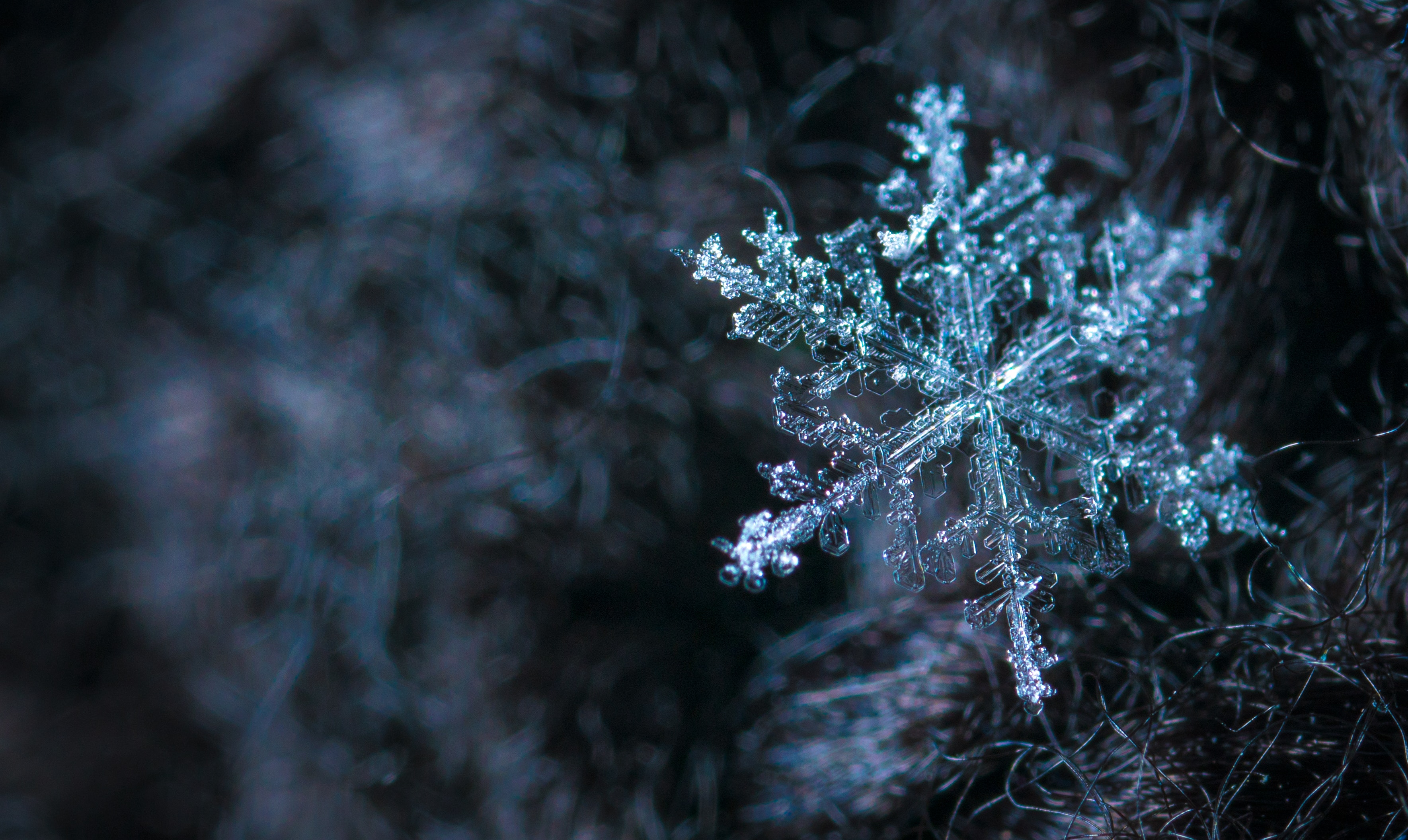 Frio extremo pode piorar casos de alergias