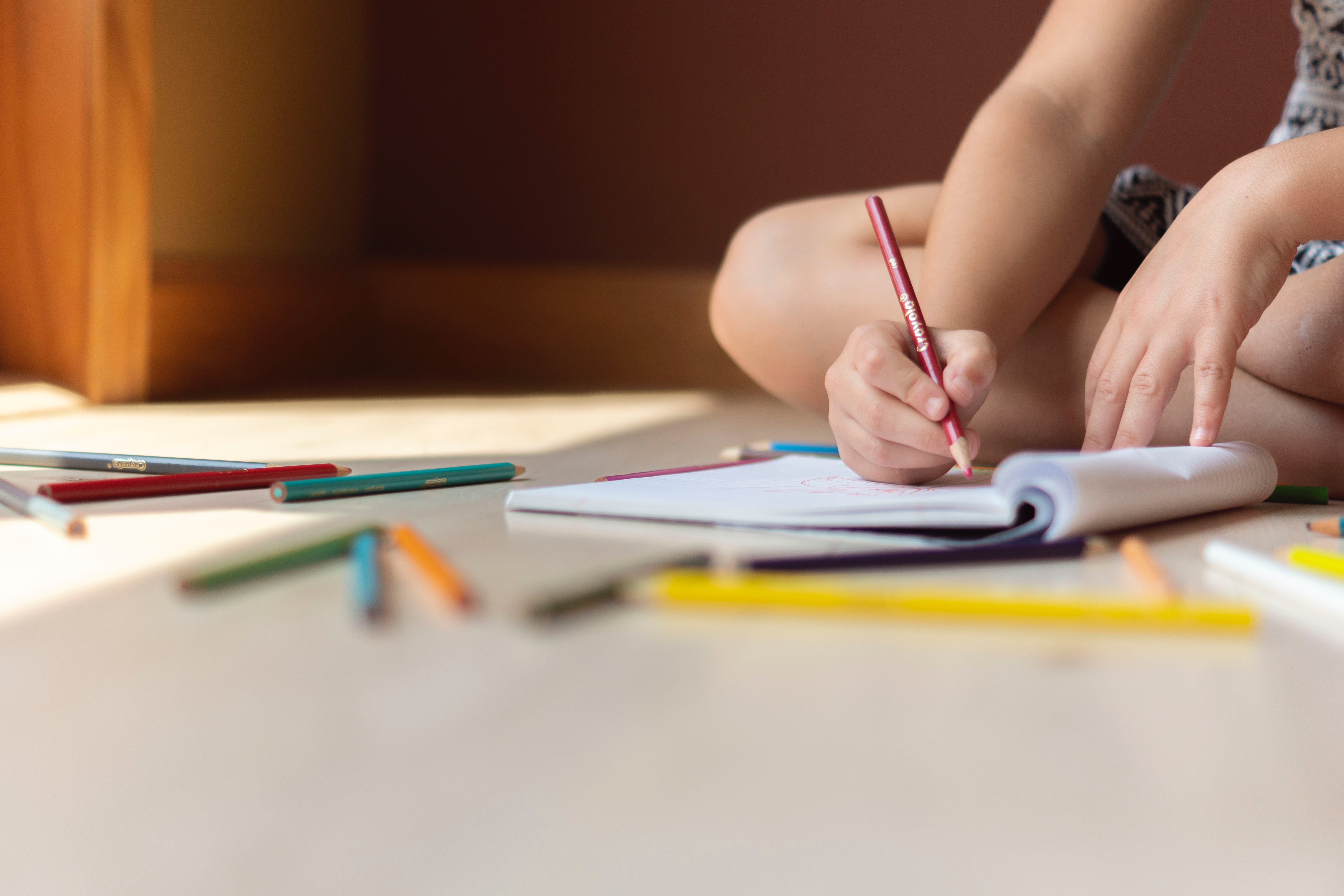 criança pintando livro